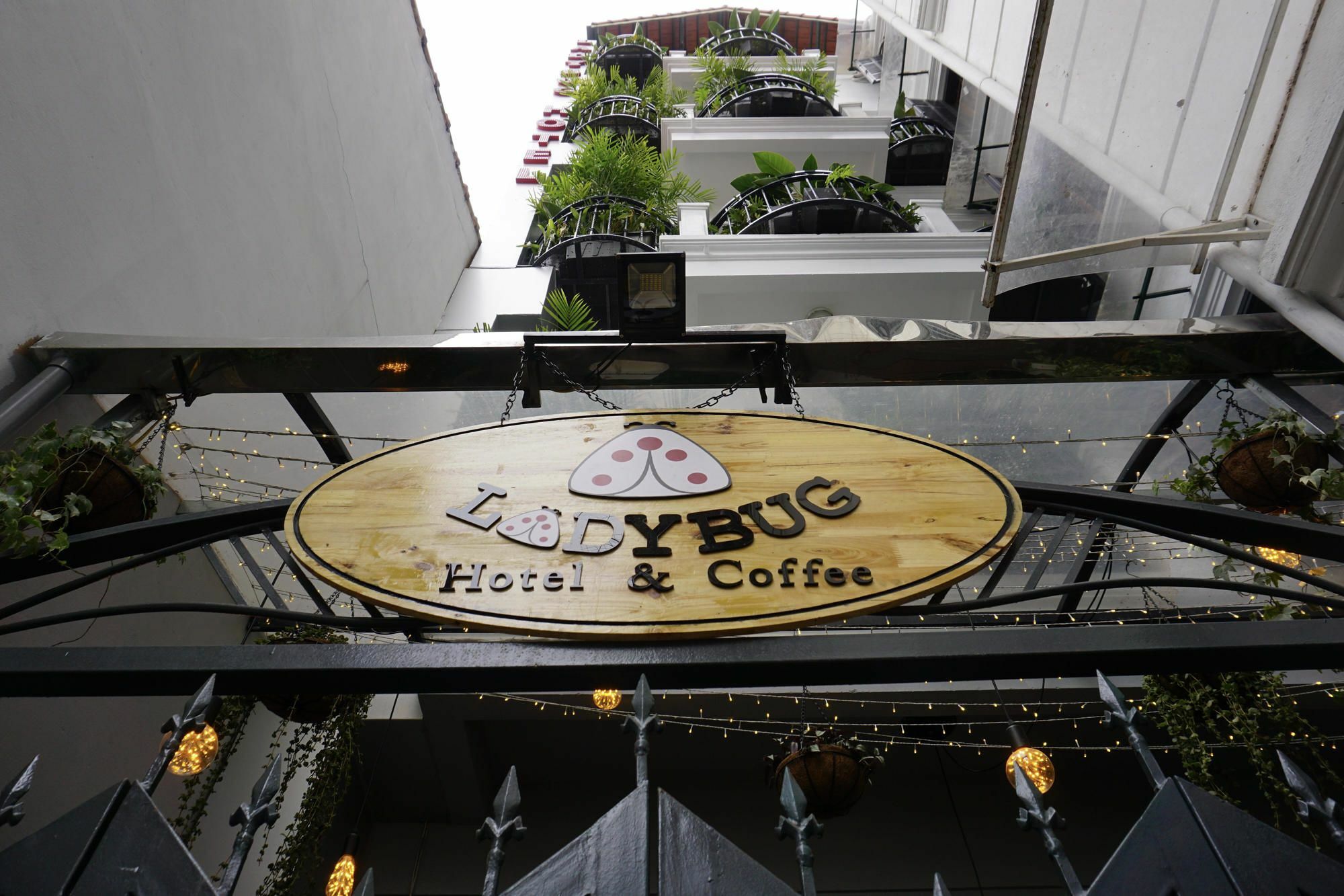 Ladybug Boutique Villa Hanoi Kültér fotó