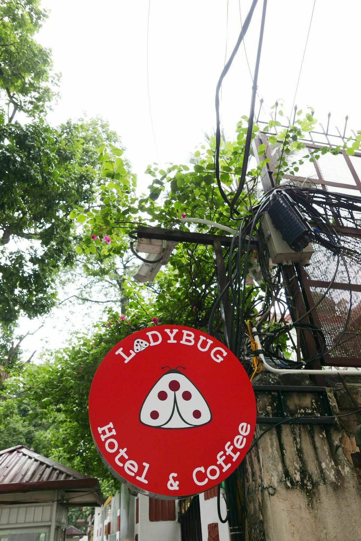 Ladybug Boutique Villa Hanoi Kültér fotó